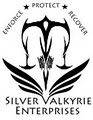 Silver Valkyrie Enterprises logo