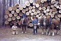 Sinking Creek Horse Logging image 3