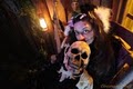 Spookywoods Haunted House image 4