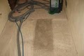 Steam Green Carpet Cleaning image 2