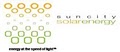 Sun City Solar Energy Little Rock logo