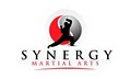 Synergy Martial Arts Llc logo