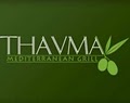 THAVMA Grill image 2