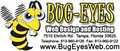 Tampa Web Design By Bug Eyes Web image 2