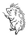 The Porcupine Needlepoint Shop logo