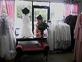 The Wedding Shop image 3
