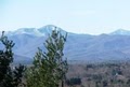 Vacation In Asheville, Avondale Ridge image 7
