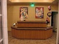 2nd Avenue Animal Hospital image 5