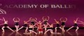 Academy of Ballet image 2