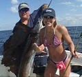 Action Sportfishing Florida image 2