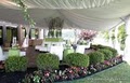All Occasions Party Rentals image 3