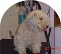 All Tails Wag - Pet Grooming image 6