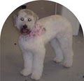 All Tails Wag - Pet Grooming image 9