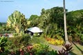 Aloha Big Island Bed and Breakfast image 7