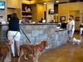 Angel Veterinary Center of Flower Mound image 6