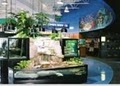 Aquarium Adventure Superstore image 5