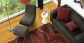 Area Floors | Portland Flooring Store image 2