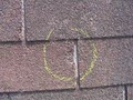 Austin Roofing image 7