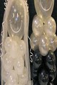 Balloons Etc image 4