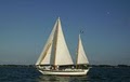 Banana Winds Sailing Charters image 1