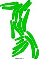 Baraboo Country Club logo