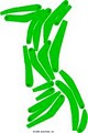 Baraboo Country Club logo