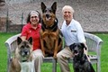 Bark Busters Home Dog Training image 2