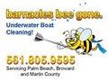 Barnacles Bee Gone Llc. logo