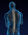 Barnett Chiropractic and Sports Medicine - Norwalk CT logo