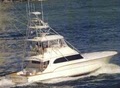 Barrister / Water Sports Charters aboard The Barrister image 1