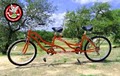 Barton Springs Bike Rental image 3