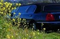 Beau Wine Tours and Limousine Service image 6