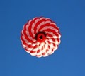 Bella Balloons, LLC image 10