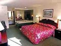 Best Western of Harbor Springs image 10
