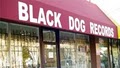 Black Dog Records & C D's image 2
