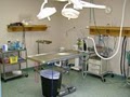 Blackstone Valley Veterinary Hospital image 2