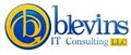 Blevins IT Consulting, LLC logo