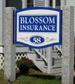 Blossom Insurance image 3