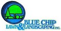 Blue Chip Lawn & Landscaping logo