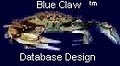 Blue Claw Database Design, LLC image 5