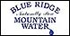Blue Ridge Mountain Water logo
