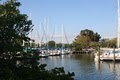 Boca Ciega Yacht Club image 4