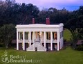 Bocage Plantation image 5