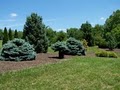 Boone County Arboretum logo