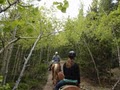 Boulder Outdoor Center Horseback Rides logo