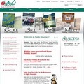 BravoSmart Web Design image 3