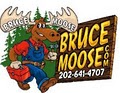 BruceMoose.com logo