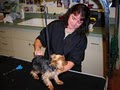 Burlington Animal Hospital image 5