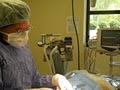 Burlington Animal Hospital image 8