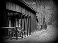 CIRCLE C RANCH HORSE BOARDING image 2